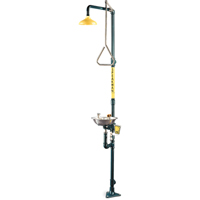 Safe-T-Zone&reg; Combination Shower & Eye/Face Wash - Speakman SE-690