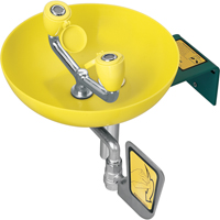 Eyewash Station, Wall-Mount Installation, Plastic Bowl - Speakman SE-580