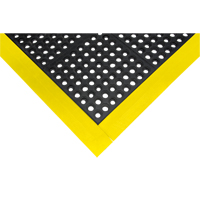 Rampe de bordure pour tapis - Produits de sécurité Zenith 
