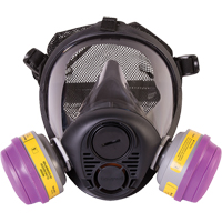 North&reg; RU6500 Series Full Facepiece Respirator, Silicone, Large - PIP Global Safety RU65002L