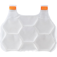6215 Phase Change Packs for Cooling Vests - Ergodyne 12201