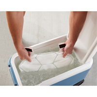 6215 Phase Change Packs for Cooling Vests - Ergodyne 12201