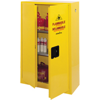 Safety Cabinets | SCN Industrial