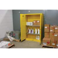 Armoire pour produits inflammables, 45 gal., 2 Porte(s), 43" La x 65" h x 18" p - Produits de sécurité Zenith 