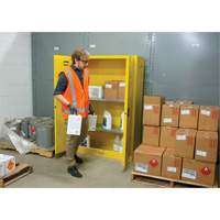 Armoire pour produits inflammables, 45 gal., 2 Porte(s), 43" La x 65" h x 18" p - Produits de sécurité Zenith 