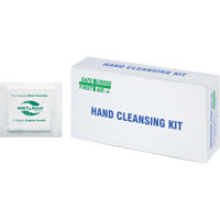 Hand Cleansing Moist Wipes, Towelette - Safecross 02454