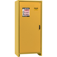 30-Minute EN Safety Storage Cabinet, 30 gal., 1 Door, 34.02" W x 76.65" H x 24.21" D - Justrite 22601