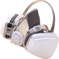 P95 Paint Spray/Pesticide Half Facepiece Disposable Respirator, Elastomer/Thermoplastic, Large - 3M 53P71