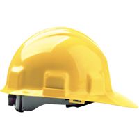 Casque de s&eacute;curit&eacute; Sentry III, Suspension Rochet - Jackson Safety 14407