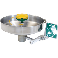 Axion&reg; Eye/Face Wash Station, Wall-Mount Installation, Stainless Steel Bowl - Haws 7360B-7460B