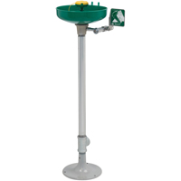 Axion&reg; Eye/Face Wash Station, Pedestal Installation, Plastic Bowl - Haws 7261-7271