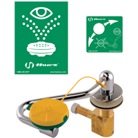 Eye/Face Wash Station, Sink Mount Installation - Haws 7611