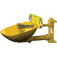 Poste de douche oculaire Halo, Installation Montage mural, Bol Plastique - Bradley S19224EW