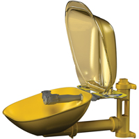Poste de douche oculaire Halo, Installation Montage mural, Bol Plastique - Bradley S19224PDC