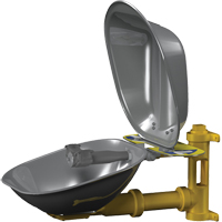 Poste de douche oculaire Halo, Installation Montage mural, Bol Acier inoxydable - Bradley S19224DC