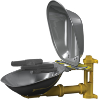 Halo Face/Eyewash Stations, Wall-Mount Installation, Stainless Steel Bowl - Bradley S19224DCFW