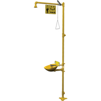 Halo Combination Emergency Shower & Eyewash Station - Bradley S19314EW