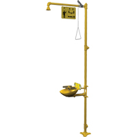 Halo Combination Emergency Shower & Eyewash Station - Bradley S19314FW
