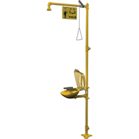 Halo Combination Emergency Shower & Eyewash Station - Bradley S19314PDCFW