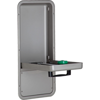 Eye/Face Wash Station, Wall-Mount Installation, Stainless Steel Bowl - Haws 7656WCC