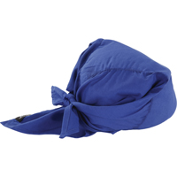 Foulards de refroidissement en triangle Chill-Its 6710CT, Bleu - Ergodyne 12587