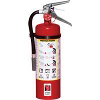 Fire Extinguisher, ABC, 5 lbs. Capacity - Strike First Corporation SFABC340VB