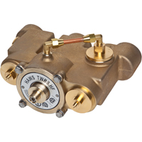 Thermostatic Mixing Valves, 78 GPM - Haws TWBS.HF