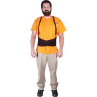 Back Support, Elastic, Small - Zenith Safety Products 