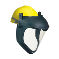 Face Protection