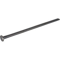 Rebar Spike - Zenith Safety Products 