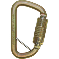 Mousqueton antichute en D d&eacute;port&eacute; Rollgliss pour sauvetage technique, Acier, Capacit&eacute; 3600 lb - 3M DBI Sala Protection Contre Les Chutes 2000117