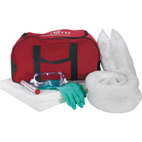 Vehicle Spill Kit, Oil Only, Bag, 10 US gal. Absorbancy - Zenith Safety Products 