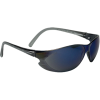 Safety Eyewear & Accessories