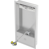 Eyewash Station, Wall-Mount Installation, Stainless Steel Bowl - Bradley S19284HB