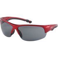 Z1900 Series Safety Glasses, Grey/Smoke Lens, Anti-Scratch, Meets/Exceeds CSA Z94.3 - Zenith Safety Products 
