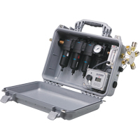ALLEGRO INDUSTRIES Carry Air 5 Worker Filtration Panels - Walter Surface Technologies 9875