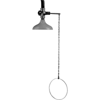 Lifesaver&reg; Emergency Overhead Showers, Ceiling-Mount - Speakman SE-220