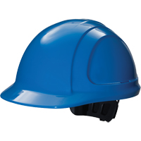 Standard Hard Hats
