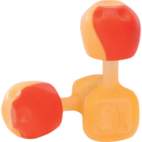 Reusable Earplugs