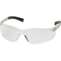 Mini Ztek Safety Glasses, Clear Lens, Anti-Fog/Anti-Scratch, ANSI Z87+/Meets/Exceeds CSA Z94.3 - Pyramex S2510SNT
