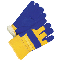 Ladies Fitter Gloves, Ladies, Grain Cowhide Palm, Cotton Inner Lining - Bob Dale Gloves 30-9-428A