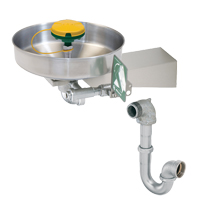 Axion&reg; Eye/Face Wash Station, Wall-Mount Installation, Stainless Steel Bowl - Haws 7360BTWC