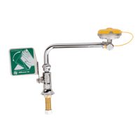 Eye/Face Wash Station, Sink Mount Installation - Haws 7612LH