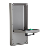 Eye/Face Wash Station, Wall-Mount Installation - Haws 7656WCSM