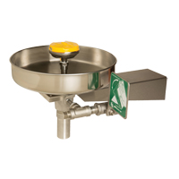 Eye/Face Wash Station, Wall-Mount Installation, Stainless Steel Bowl - Haws 7778B