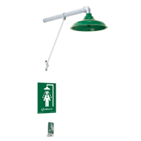 Freeze Protected Drench Shower, Wall-Mount - Haws 8111FP