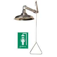 Drench Shower, Wall-Mount - Haws 8123