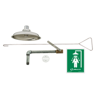 Drench Shower, Ceiling-Mount - Haws 8169