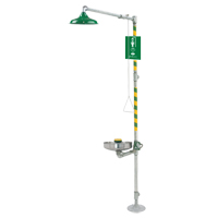 ADA Eye/Face Wash and Shower - Haws 8309WC
