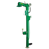 Freeze Protected Eyewash and Shower - Haws 8317CTFP.220V